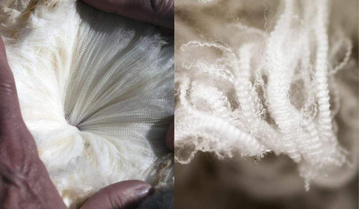 Material Study: Merino Wool – Torsa